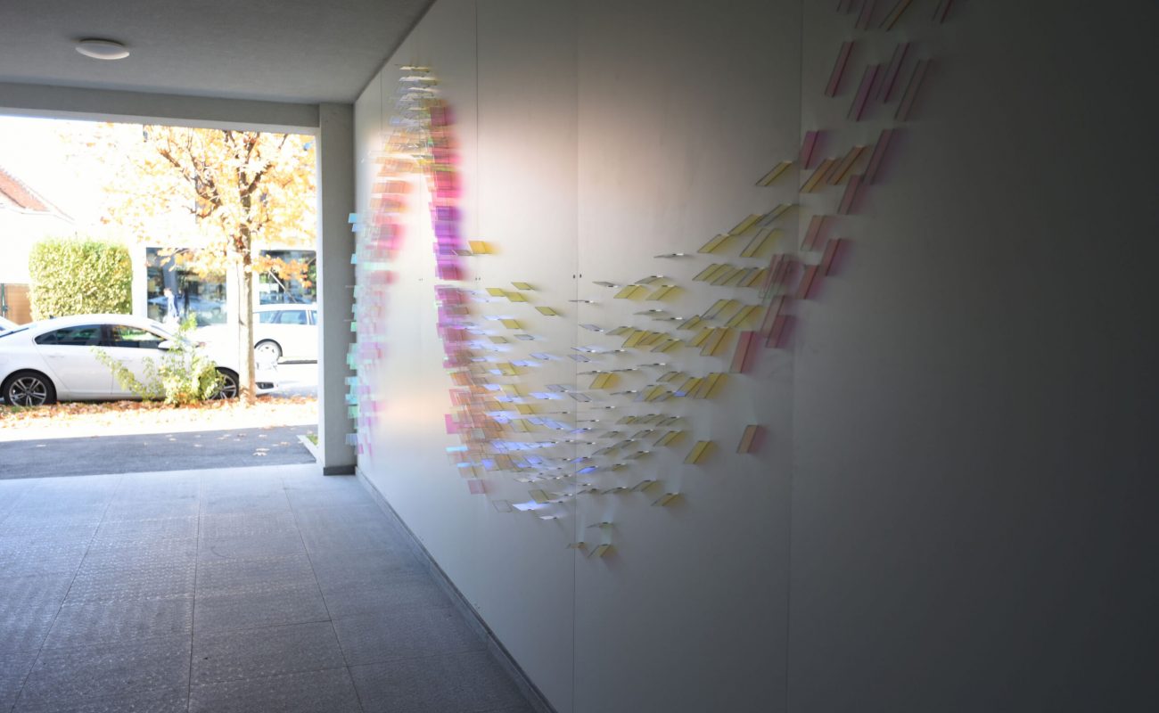 artwork by Catrinel Săbăciag